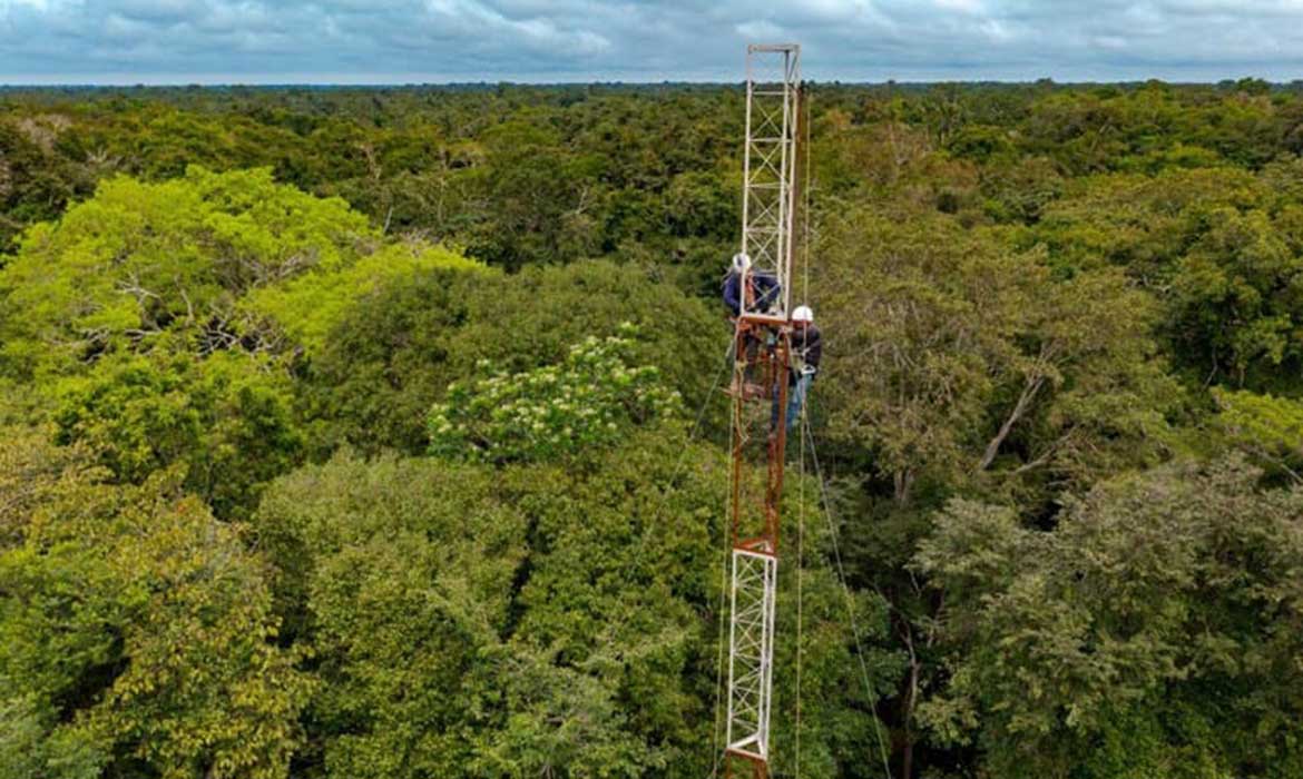 Primeira torre em floresta de várzea da Amazônia